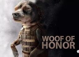 娱乐吃瓜汪星人是谁