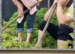 娱乐八卦一定是吃瓜群众的