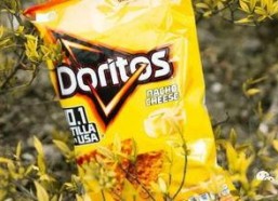 茫茫娱乐吃瓜,揭秘“茫茫娱乐吃瓜”背后的热点事件